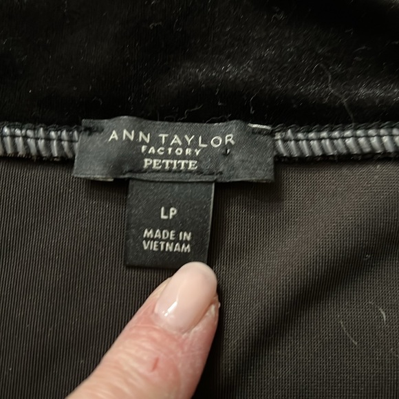 Ann Taylor Factory Off-the-Shoulder Velvet Top. 3/4 Sleeves - Picture 4 of 5